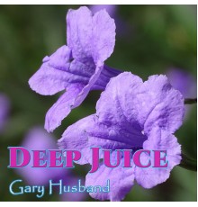 Gary Husband - Deep Juice