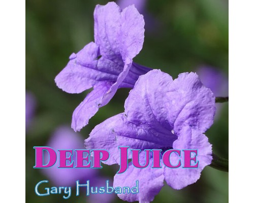 Gary Husband - Deep Juice