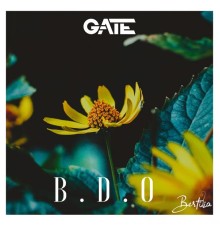 Gate - Bdo