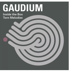 Gaudium - Torn Melodies