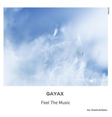 Gayax - Feel The Music