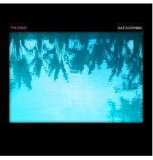 Gaz Coombes - The Oaks