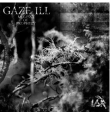 Gaze Ill - Moment Of Prophecy (Original Mix)