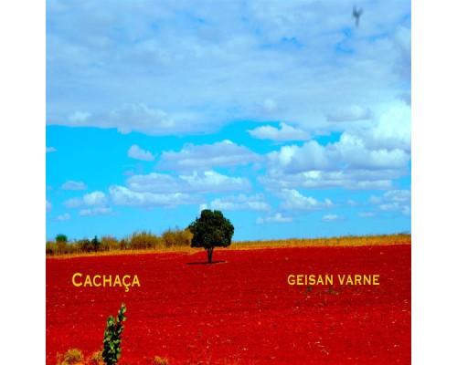 Geisan Varne - Cachaça