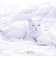 Geminis - Geminis