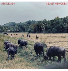 Gentlemen - Secret Memories