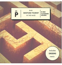 Geopard Tourist - In The Maze