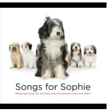 George Skaroulis - Songs for Sophie
