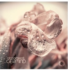 Germind - Absorbient