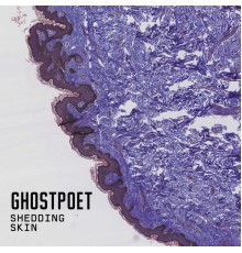 Ghostpoet - Shedding Skin