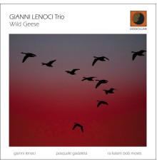 Gianni Lenoci Trio - Wild Geese