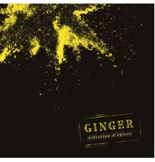 Ginger - Sélection d'épices