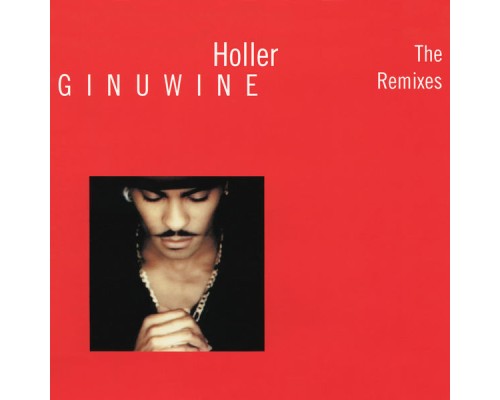 Ginuwine - Holler - The Remixes