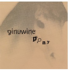 Ginuwine - Pony Remix EP