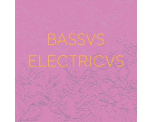 Giovanni Gregoretti - Bassus Electricus