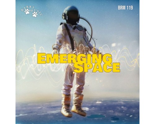 Giovanni Luca Silvestri - Emerging Space