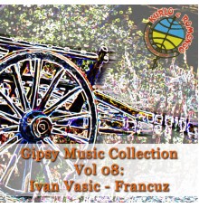 Gipsy Music - Gipsy Music Collection Vol. 08: Ivan Vasic - Francuz