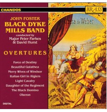 Giuseppe Verdi, Franz con Suppé, Otto Nicolai, Daniel Auber... - Ouvertures