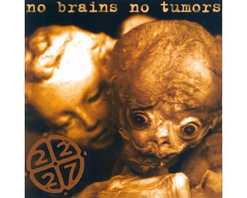 Glasbena skupina 2.2.2.7 - No Brains no Tumors