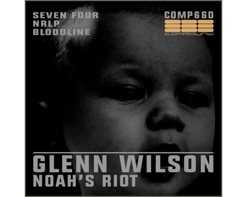 Glenn Wilson - Noah's Riot