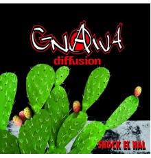 Gnawa Diffusion - Shock el hal