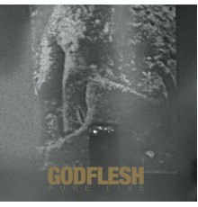 Godflesh - PURE Live