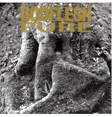 Godflesh - Pure