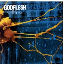 Godflesh - Xynobis