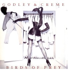 Godley & Creme - Birds Of Prey