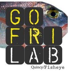 Gofrilab - Quincy / Fisheye