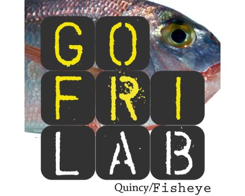 Gofrilab - Quincy / Fisheye