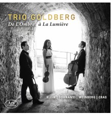 Goldberg Trio - De l'ombre à la lumière