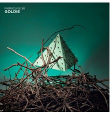 Goldie Glo - FABRICLIVE 58: Goldie