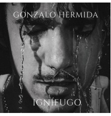 Gonzalo Hermida - Ignífugo