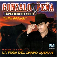 Gonzalo Peña (La Pantera Del Norte) - La Voz del Pueblo - La Fuga del Chapo Guzman