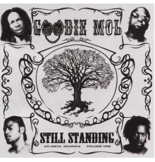 Goodie MoB - Still Standing