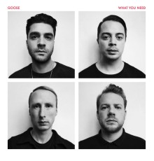 Goose - What You Need