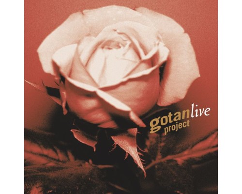 Gotan Project - Gotan Project live