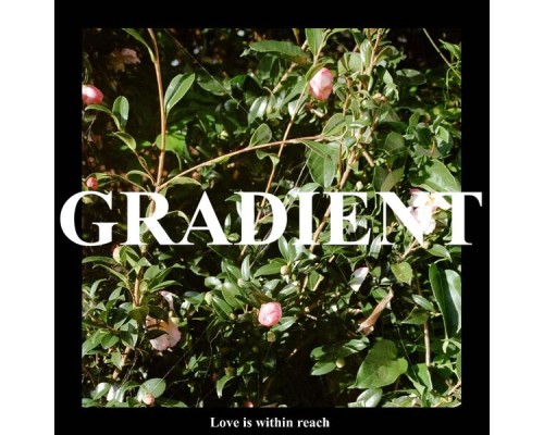 Gradient - love is within reach