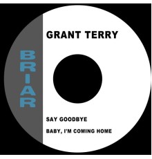 Grant Terry - Say Goodbye