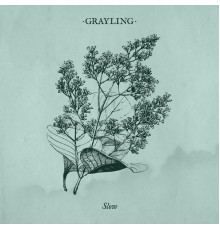 Grayling - Slow