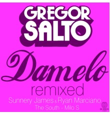 Gregor Salto - Damelo Remixed