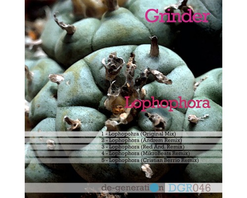 Grinder - Lophophora