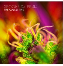 Groove Da Praia - The Collective