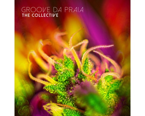 Groove Da Praia - The Collective