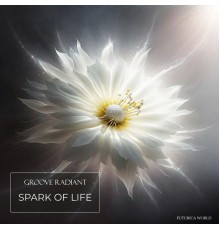 Groove Radiant - Spark Of Life