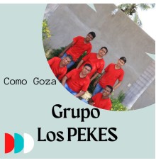 Grupo Los Pekes - Como Goza