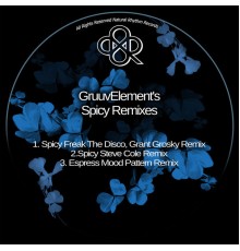 GruuvElement's - Spicy Remixes