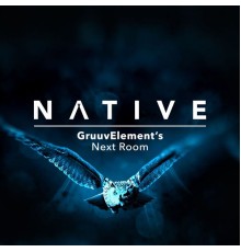 GruuvElement's - Next Room (Original Mix)