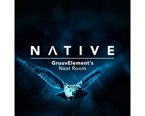 GruuvElement's - Next Room (Original Mix)